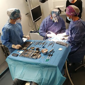 Chirurgie Plastique Muco Gingivale Implantaire